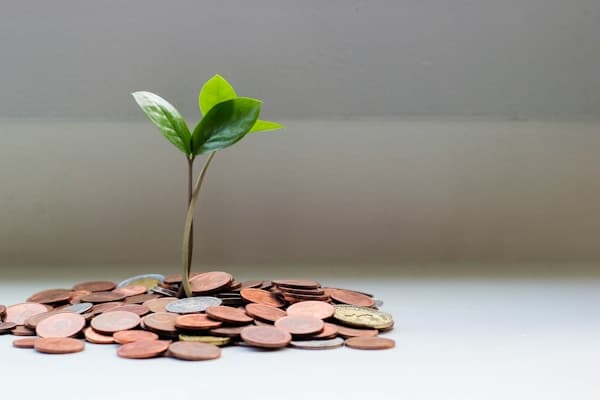 Dental Software Pricing 2026: Real Costs Vendor by Vendor